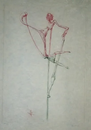 Água-Forte E Água-Tinta Bellmer - Oeillades ciselées 7