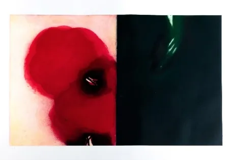 Água-Forte E Água-Tinta Benati - Affiora