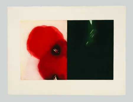 Água-Forte E Água-Tinta Benati - Affiora