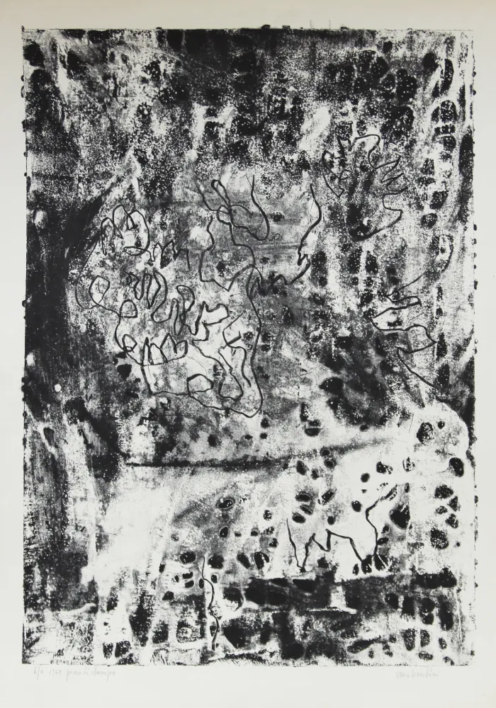 Litografia Bendini - SENZA TITOLO