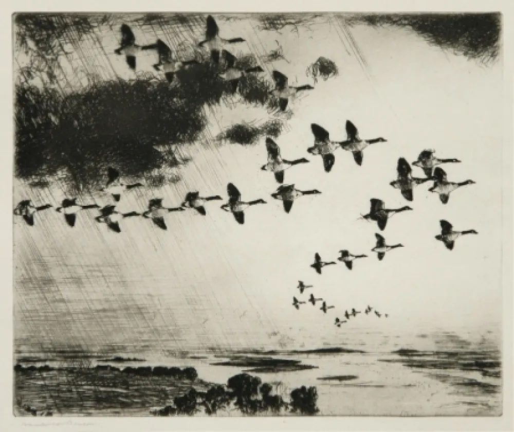 Água-Forte Benson - The Long Journey