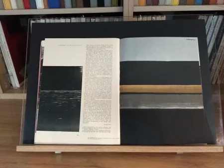 Livro Ilustrado Bergman - No 35