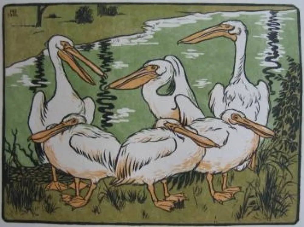 Xilogravura Berthold - Pelikane