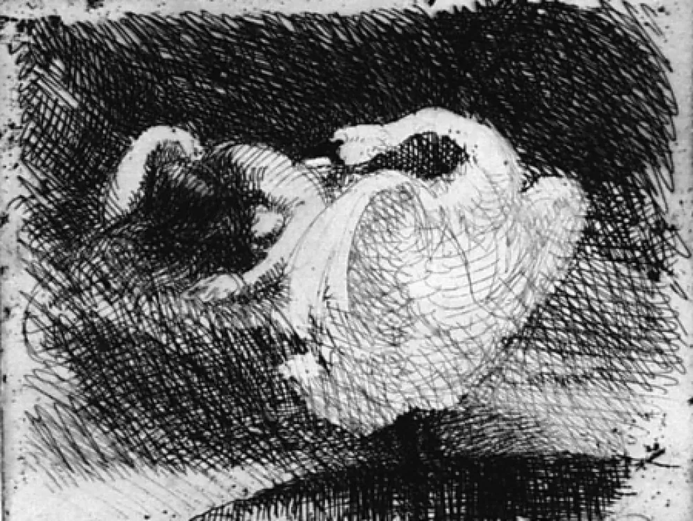 Água-Forte Besnard - Léda s'endort