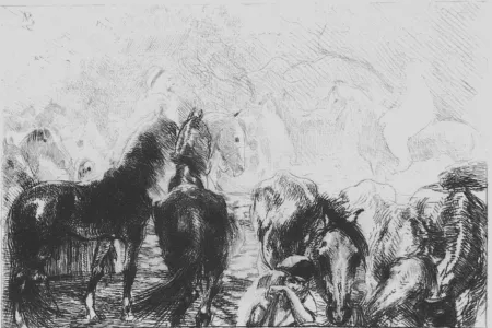 Água-Forte Besnard - Marché aux chevaux a Mainson Carré - Algérie