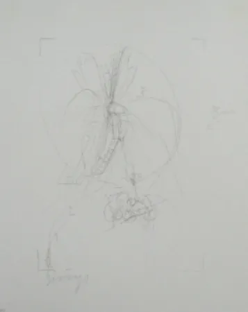 Litografia Beuys - Codices Madrid 10