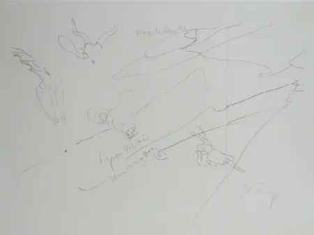 Litografia Beuys - Codices Madrid 9