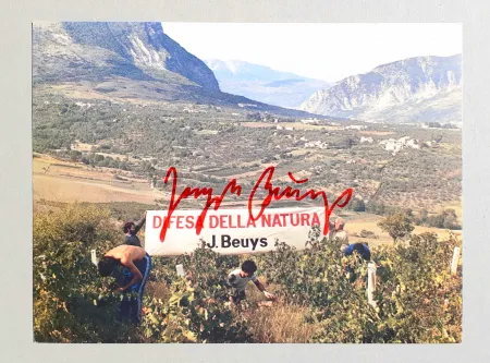 Offset Beuys - Difesa della natura