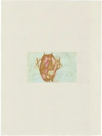 Gravura Beuys - Tränen: Schamanentrommel (grün) 