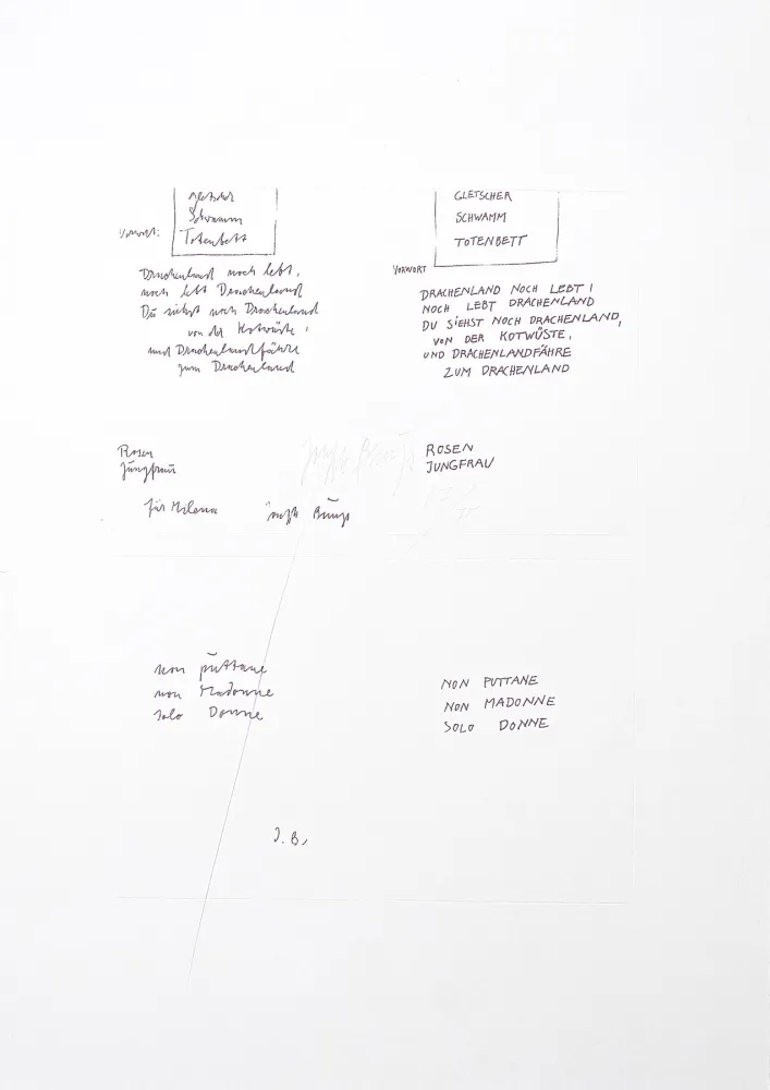 Gravura Beuys - Untitled (Gletscher Schwamm Totenbett)