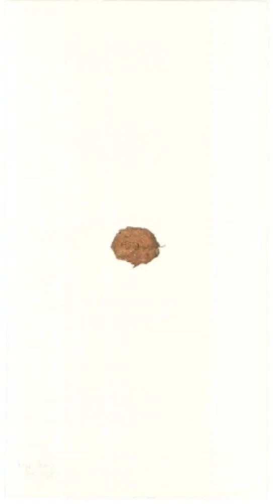 Litografia Beuys - Zirkulationszeit: Bär  Museumsausgabe