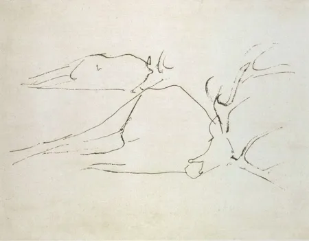 Água-Forte E Água-Tinta Beuys - Zirkulationszeit: Tote Hirsche