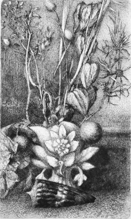 Água-Forte Bianchi Barriviera - Natura morta