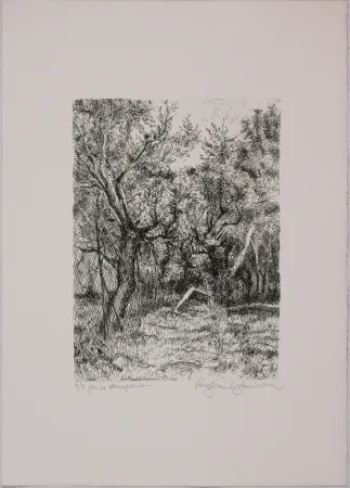 Água-Forte Bianchi Barriviera - Untitled