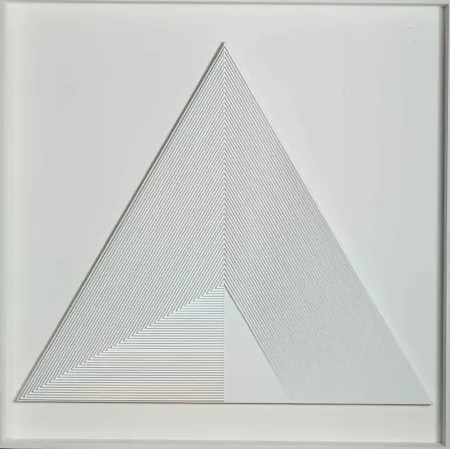 Sem Técnica Biasi - POLITIPO TRIANGOLARE