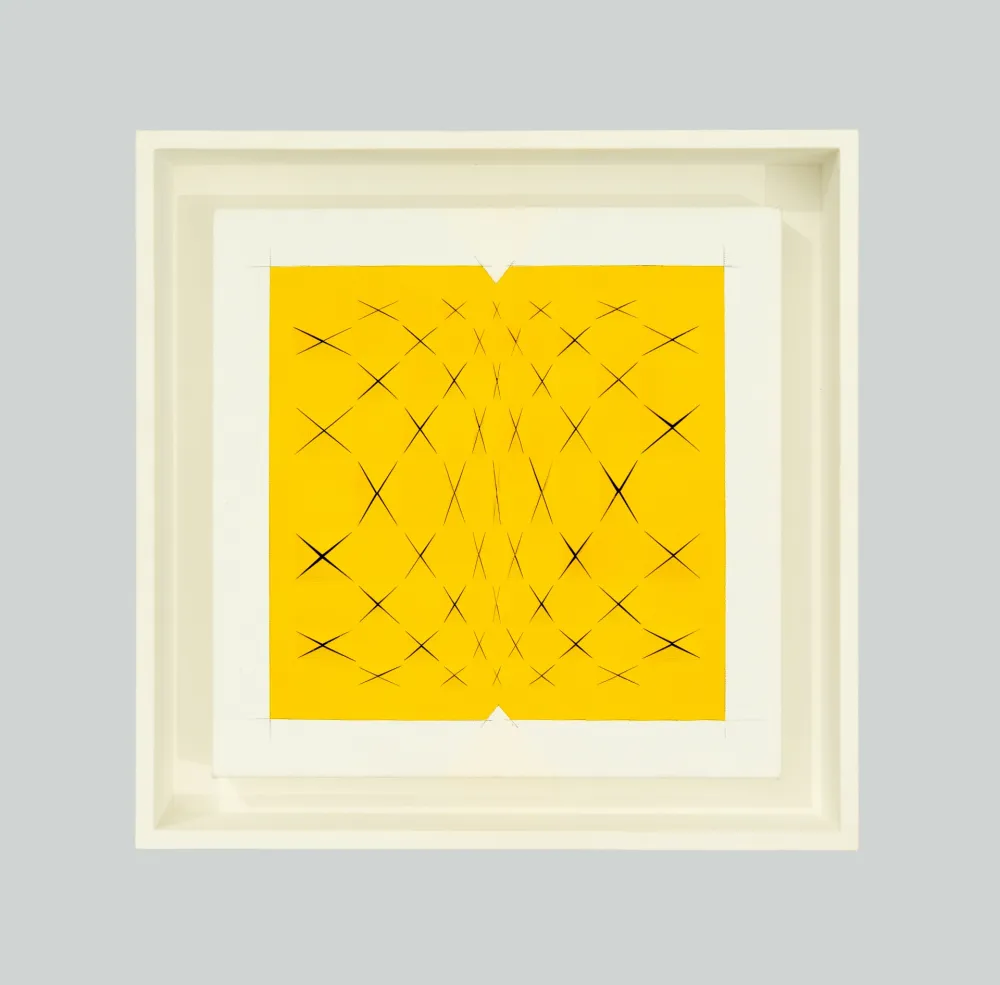 Sem Técnica Biasi - Spazio papale