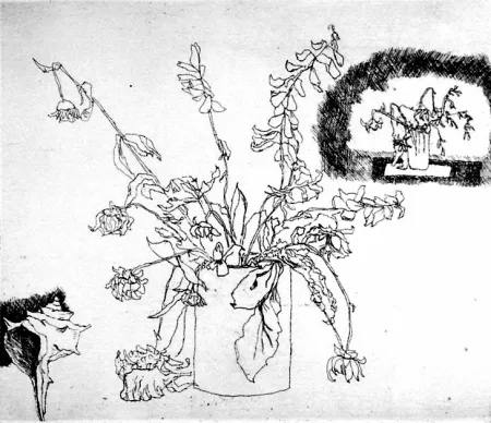 Água-Forte Biasion - Fiori secchi e conchiglia