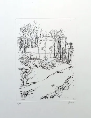 Água-Forte Biasion - Paesaggio