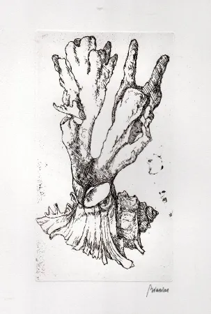 Livro Ilustrado Biasion - Venezia lontana