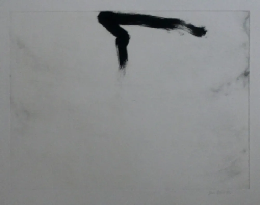 Água-Forte E Água-Tinta Bird - Abstract 11