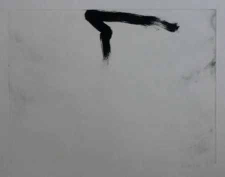 Água-Forte E Água-Tinta Bird - Abstract 11