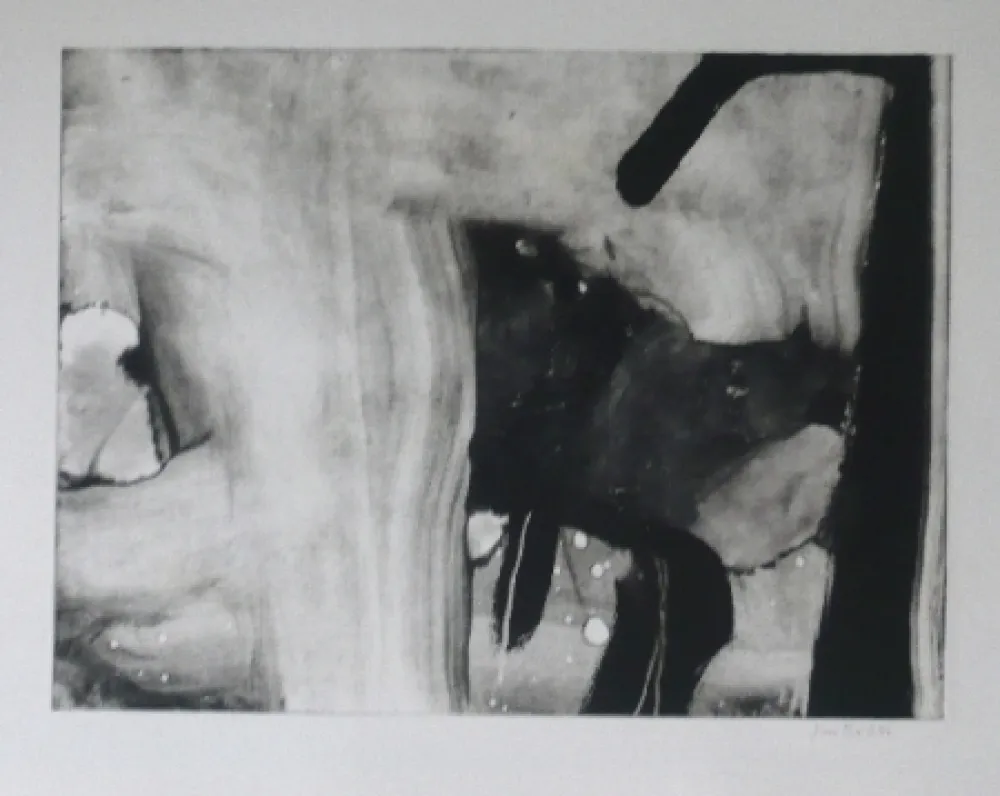 Água-Forte E Água-Tinta Bird - Abstract 4