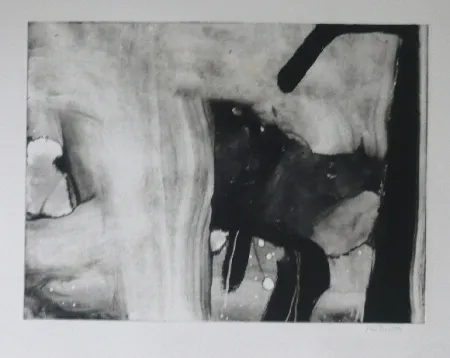 Água-Forte E Água-Tinta Bird - Abstract 4