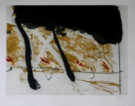 Água-Forte E Água-Tinta Bird - Abstract 8