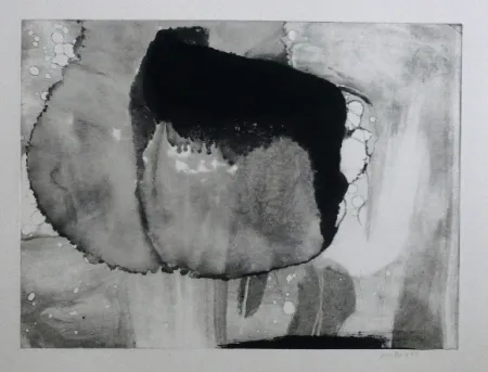 Água-Forte E Água-Tinta Bird - Abstract 9