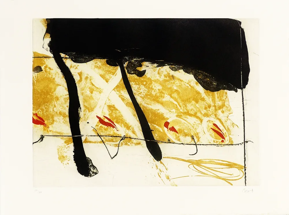 Água-Forte E Água-Tinta Bird - Coach of black  water