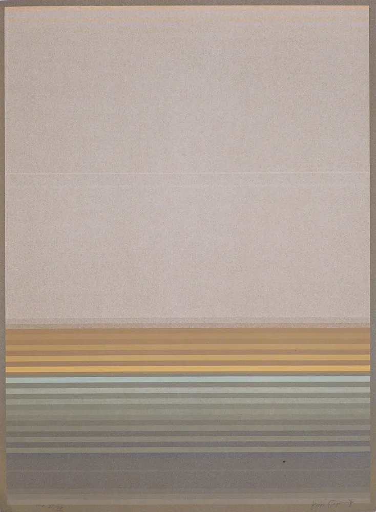 Livro Ilustrado Bird - J.B.I. - 2