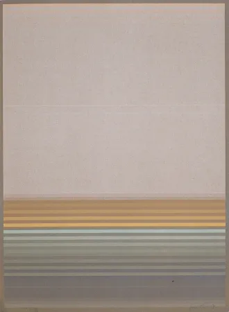 Livro Ilustrado Bird - J.B.I. - 2