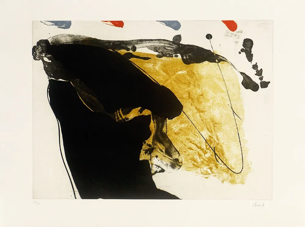 Gravura Bird - Red top