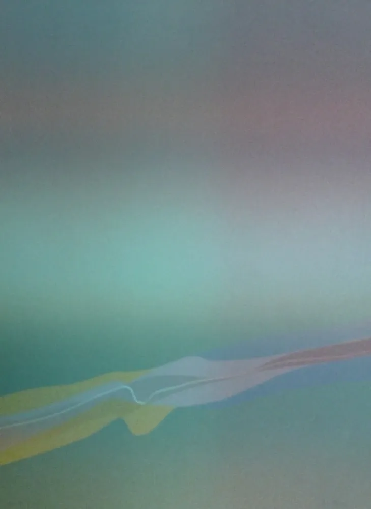 Litografia Bird - Spectre lumière 4