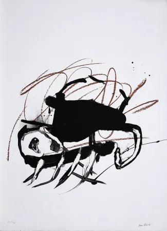 Litografia Bird - S/T