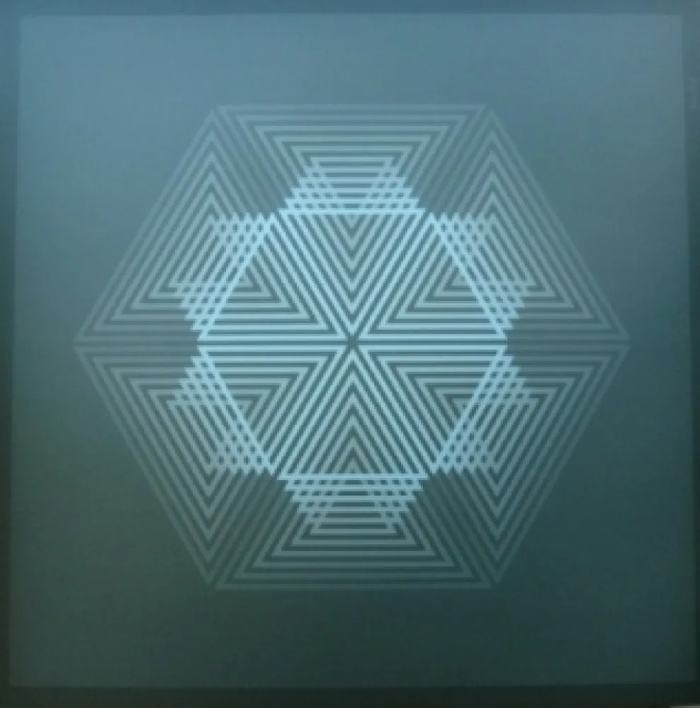 Litografia Bird - Tribute to vasarely 12