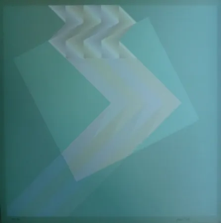 Litografia Bird - Tribute to Vasarely 13