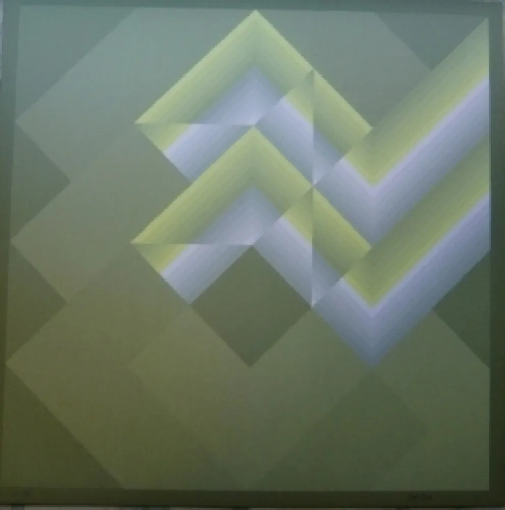 Litografia Bird - Tribute to vasarely