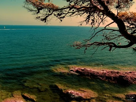 Fotografia Bohorquez - Bleu