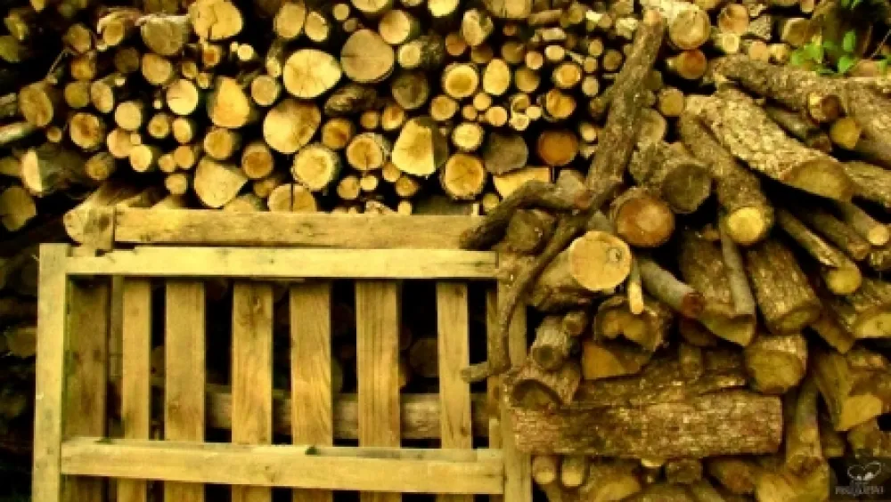 Fotografia Bohorquez - Palos de Moguer