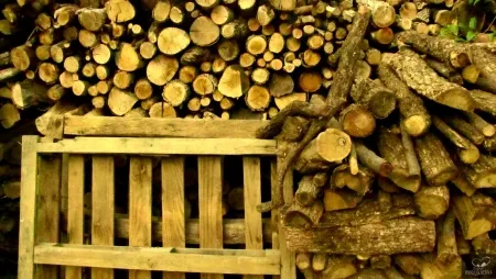 Fotografia Bohorquez - Palos de Moguer