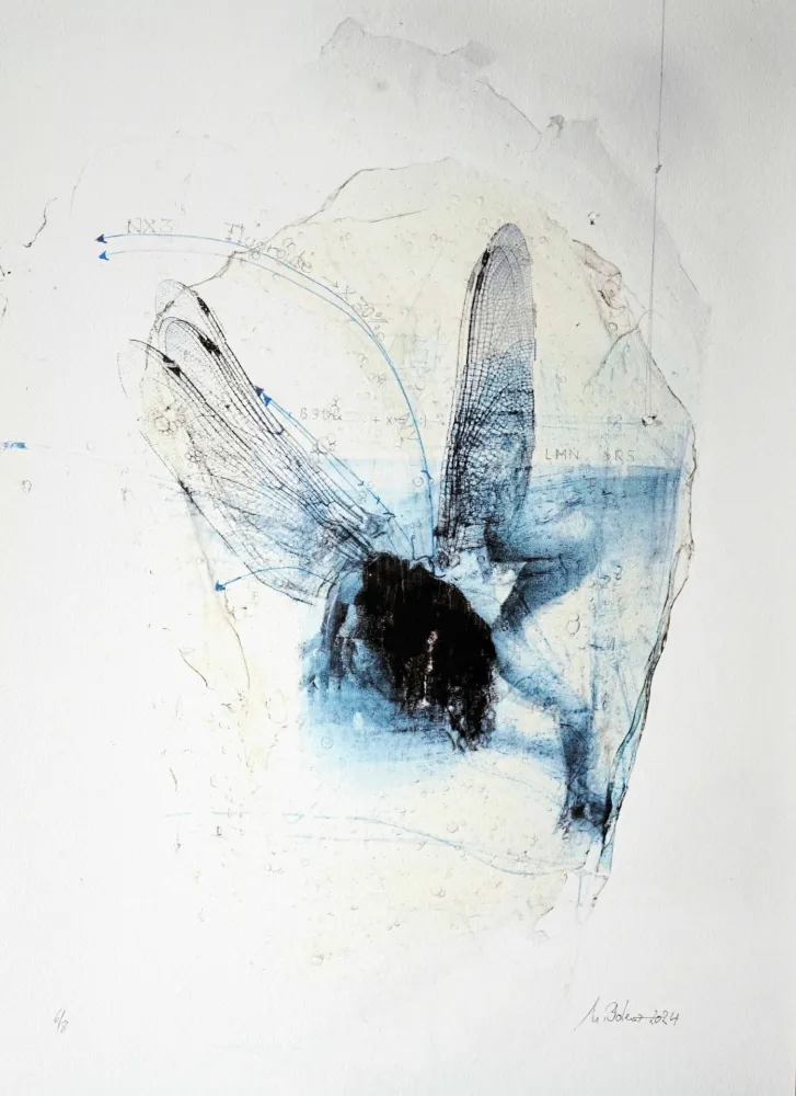 Gravura Bolenz - Libellule
