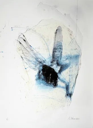 Gravura Bolenz - Libellule