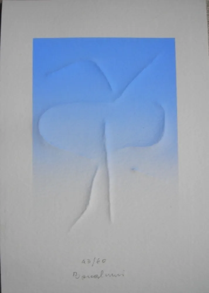 Relevo Bonalumi - La denarrazione