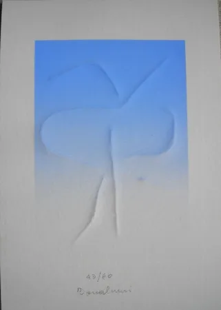 Relevo Bonalumi - La denarrazione