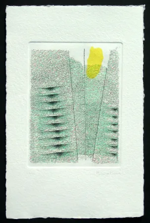 Água-Forte E Água-Tinta Bonalumi - Senza titolo