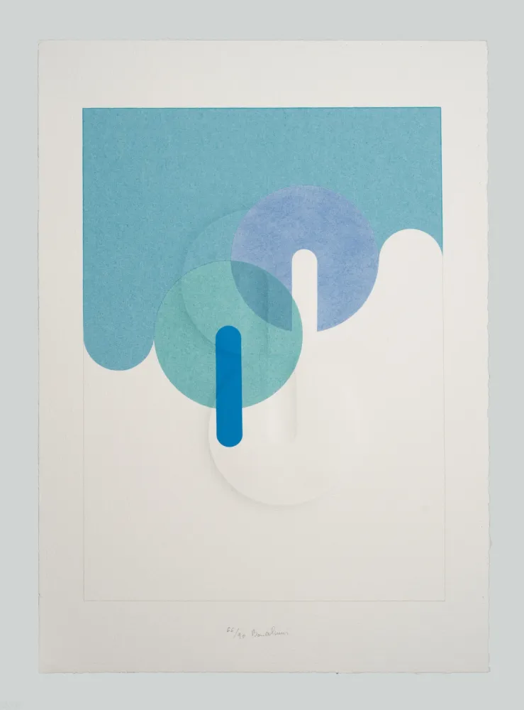 Relevo Bonalumi - Superficie (B)