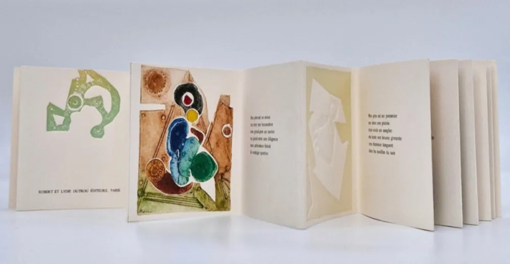 Livro Ilustrado Boni - Transfert