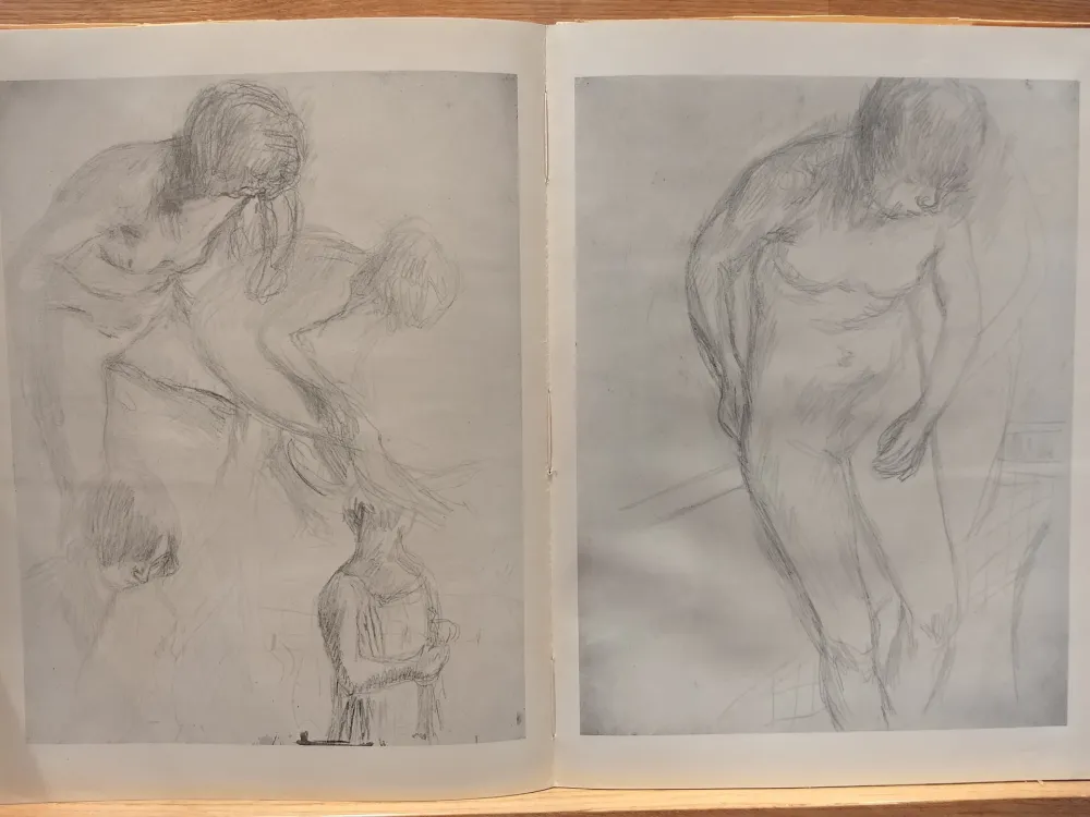 Livro Ilustrado Bonnard - Couleur De Bonnard