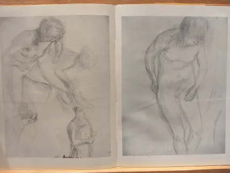 Livro Ilustrado Bonnard - Couleur De Bonnard